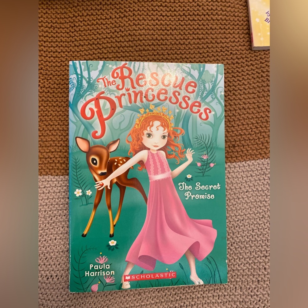 The Rescue Princesses Book lot - Picture 4 of 5